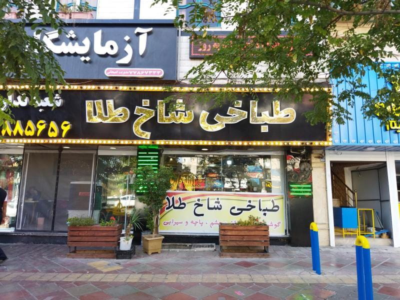 عکس طباخی شاخ طلا در تهرانپارس