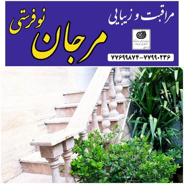 عکس سالن زیبایی و آرایشگاه ارکیده مرجان در فدک