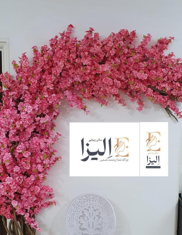 عکس سالن زیبایی الیزا در کرمان