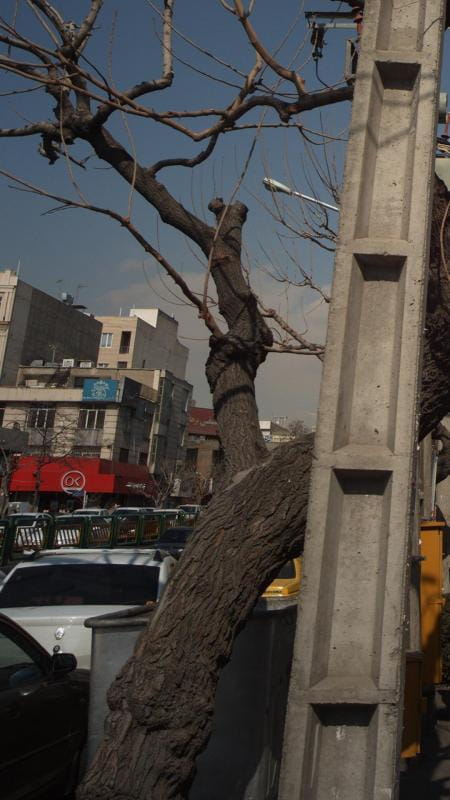 عکس دفتر اسناد رسمی۳۵۸ تهران در حافظیه