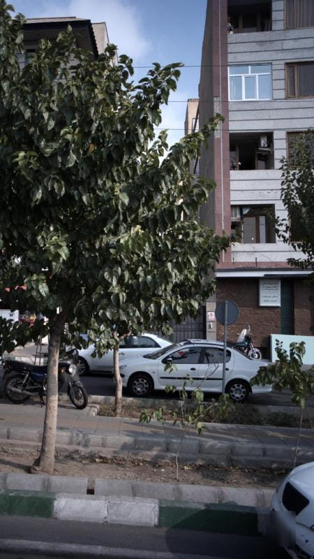 عکس دکتر فرناد ایمانی در پونک شمالی تهران