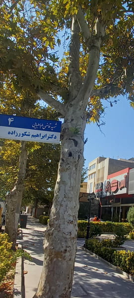 عکس آس برگر در گوهرشاد  مشهد