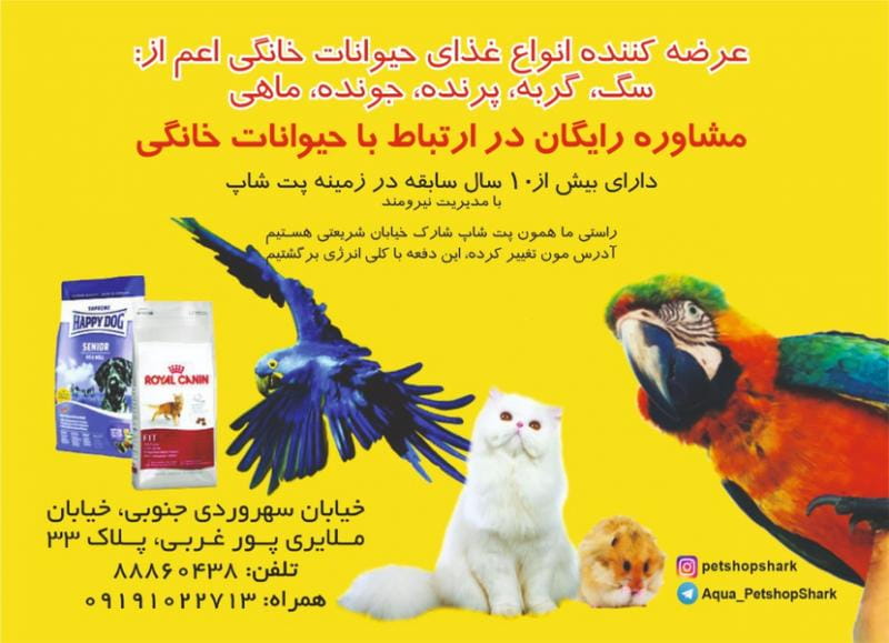 عکس پت شاپ شارک در سهروردی تهران