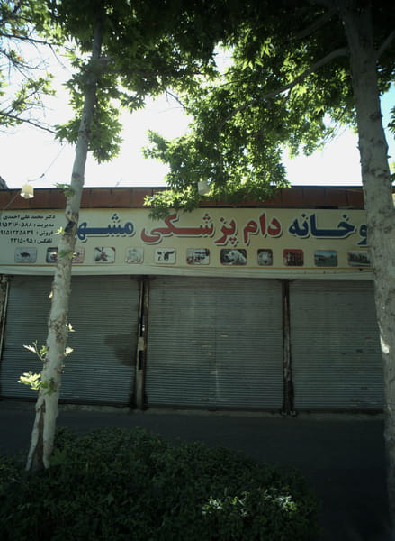 عکس داروخانه دامپزشکی مشهد در راه آهن مشهد