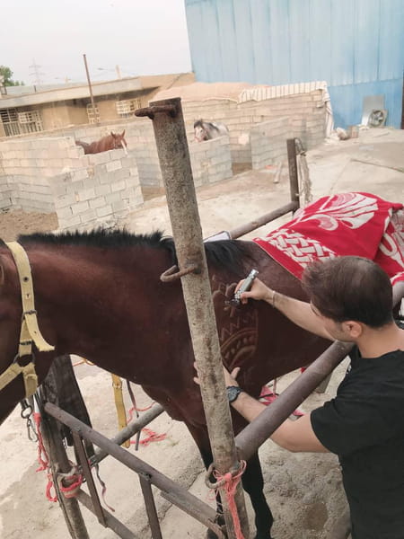 عکس داماد سرای مولند خیابان زندوکیلی اهواز