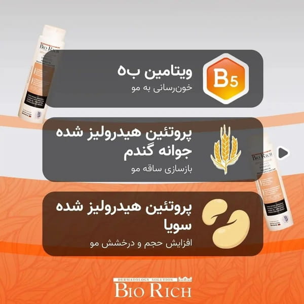 عکس گالری ایلیا در اسلام آباد 