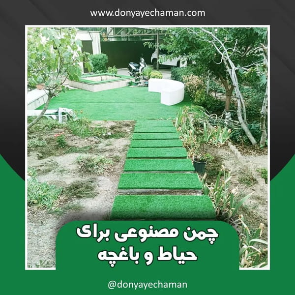 عکس دنیای چمن در مرزداران 