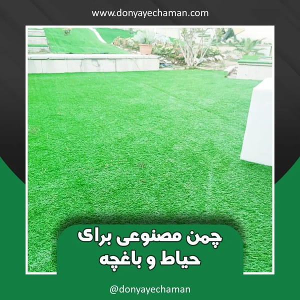 عکس دنیای چمن در مرزداران 