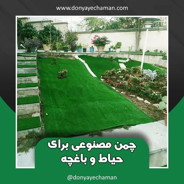 عکس دنیای چمن در مرزداران 