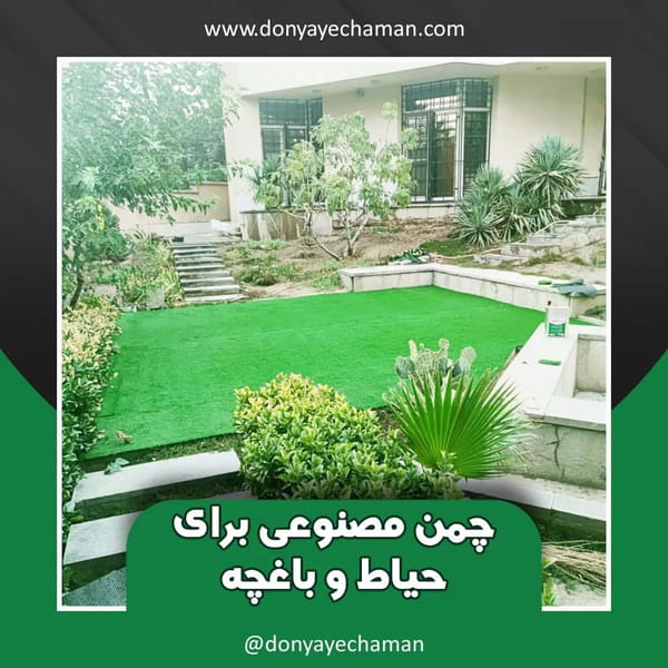 عکس دنیای چمن در مرزداران 