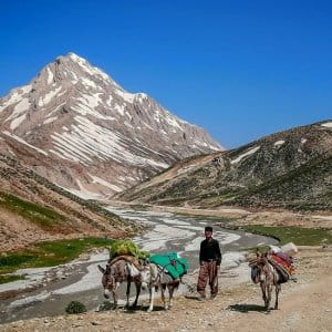 عکس آژانس ترنج طبیعت پارس - Iranistour در نیلوفر