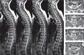 عکس  رازان طب سعادت آباد در سعادت آباد