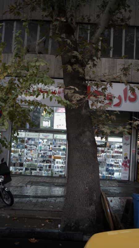 عکس داروخانه شبانهروزی نلسون در دانشگاه تهران تهران