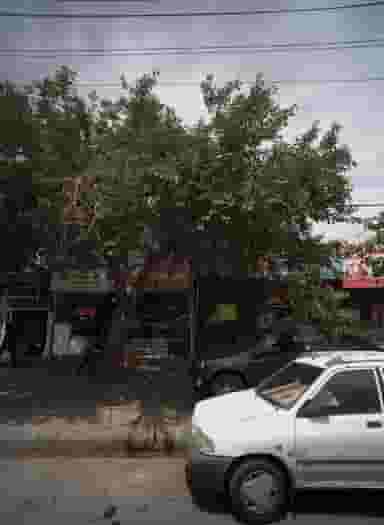 شیشه بری در موعود مشهد