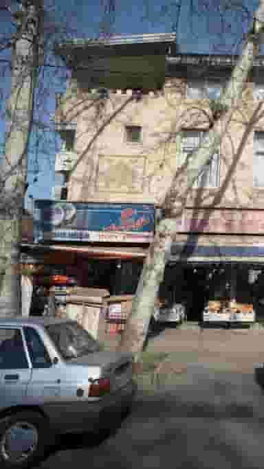 سوپر کاج در گل افشان ساری