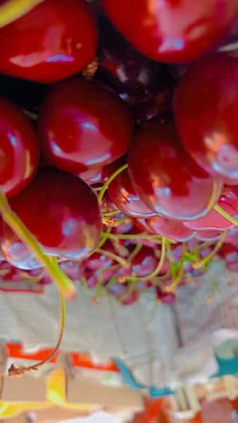 عکس میوه فروشی صداقت در شهر قم