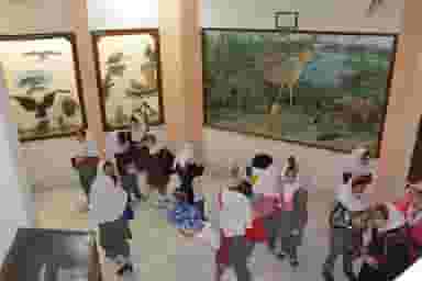 موزه تاریخ طبیعی اهواز شهرک توسعه نیشکر اهواز