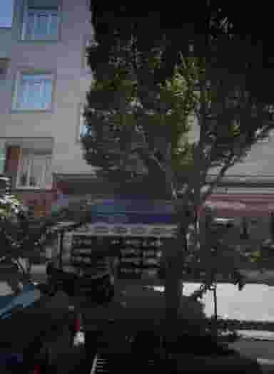 سوپرمارکت در دلگشا